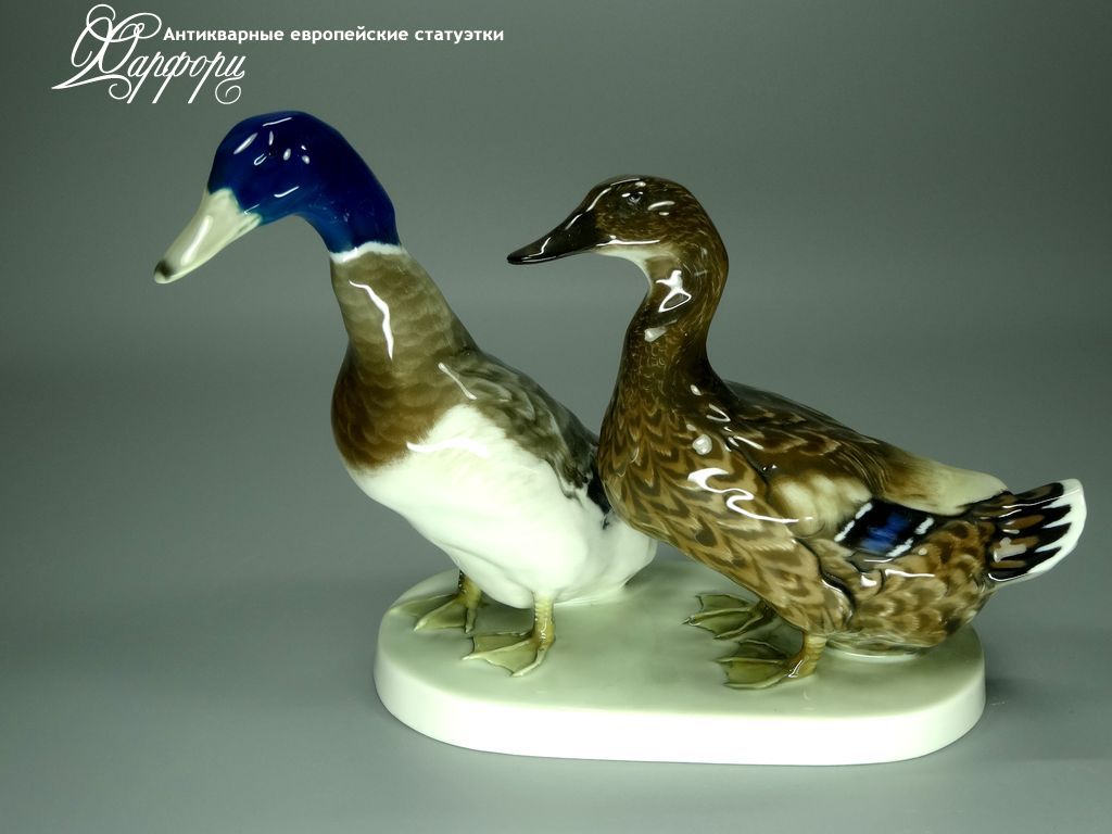 Купить фарфоровые статуэтки Rosenthal, Пара уточек, Германия
